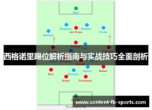 西格诺里踢位解析指南与实战技巧全面剖析