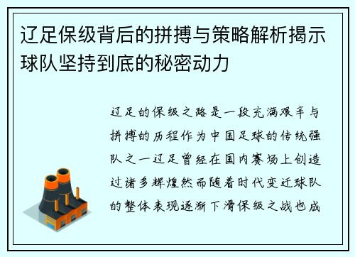 辽足保级背后的拼搏与策略解析揭示球队坚持到底的秘密动力